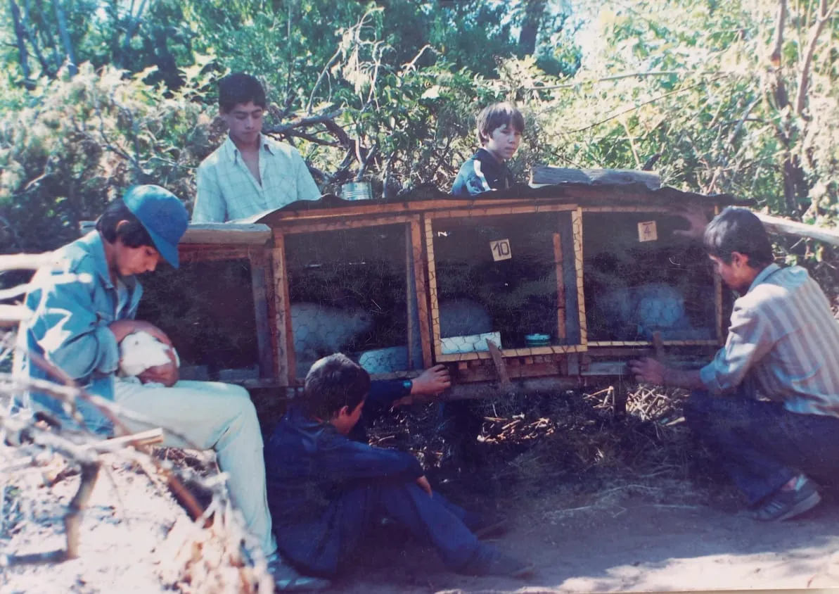 Estudiantes con jaulas de conejos